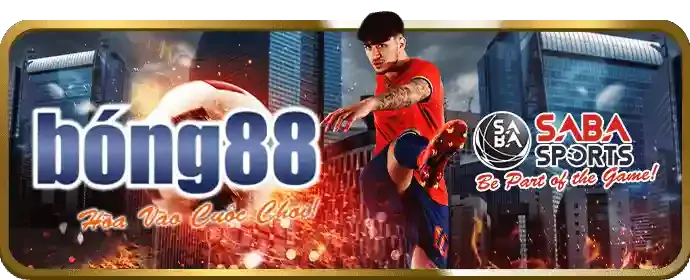 Đặt cược và theo dõi